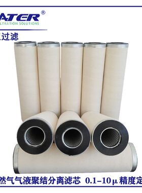 天然气前置模块滤芯 CAA14-5SB 天然气管道低压滤网 气体除水滤芯