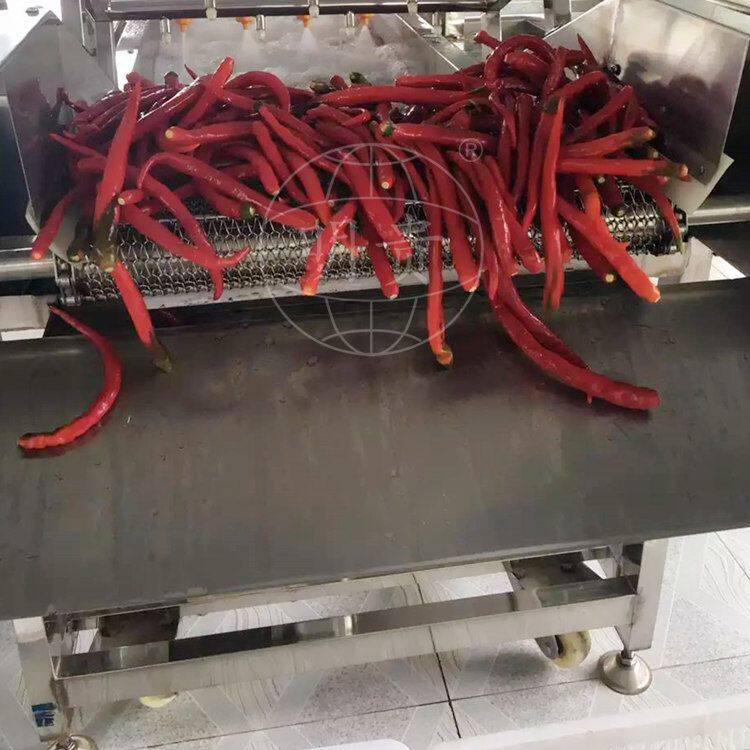 辣椒自动清洗机 蔬菜气泡清洗流水线 鼓泡式喷淋洗菜机器