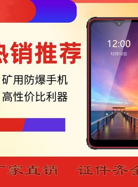 证件齐全防爆手机 双卡双待矿用本安型手机 KTW285矿用本安型手机