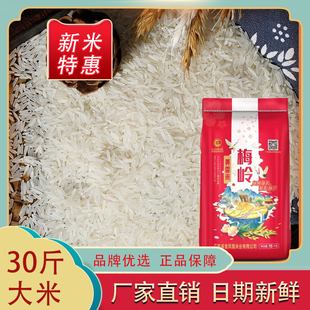 今日特价 新米梅岭美香米15KG新鲜大米 南方籼米30斤香米韶关大米