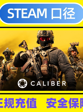 Caliber 口径steam国际服俄罗斯服商店直充值礼物dlc射击对战游戏