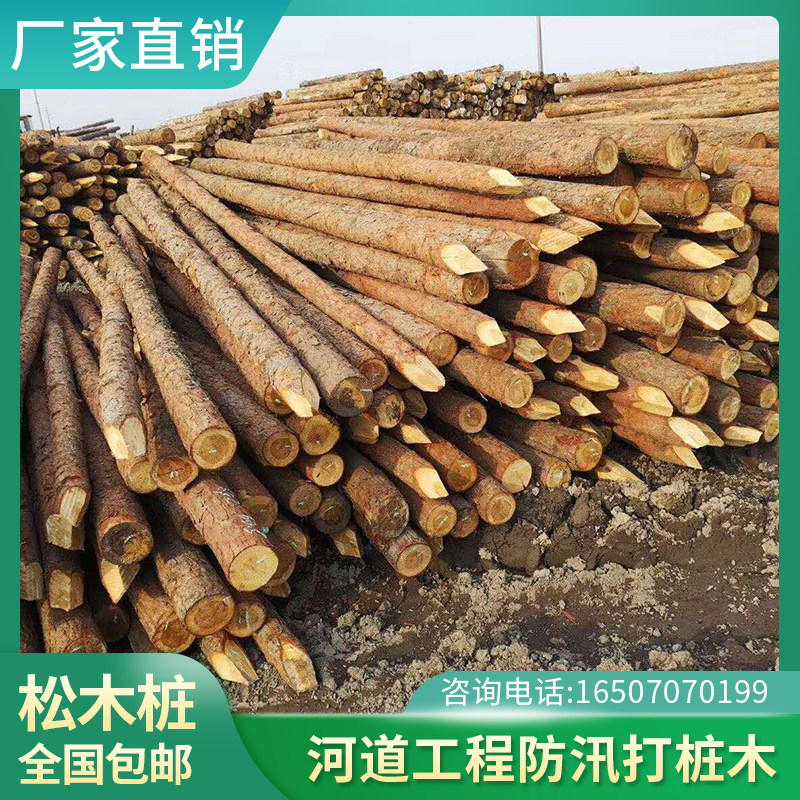 落叶松原木桩户外河道护岸4米打桩木绿化支撑杆3米奥松6米杉木桩 - 实物图