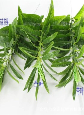 仿农真植物单杆芝麻叶CAY作物果树绿胡麻黑白迷芝麻双子叶你盆植