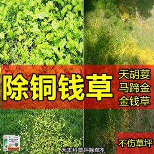 马尼拉台湾草坪除草剂马蹄金铜钱草烂根除草剂不伤草坪专杀阔叶草