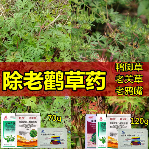 可以除老鹳草的除草剂除老鸦嘴剂五叶草老鸦嘴老牛筋老关草破铜钱