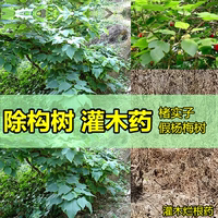 專殺闊葉草構(gòu)樹谷皮樹假楊梅楮實(shí)子構(gòu)桃樹灌木拉拉藤除草劑爛根藥