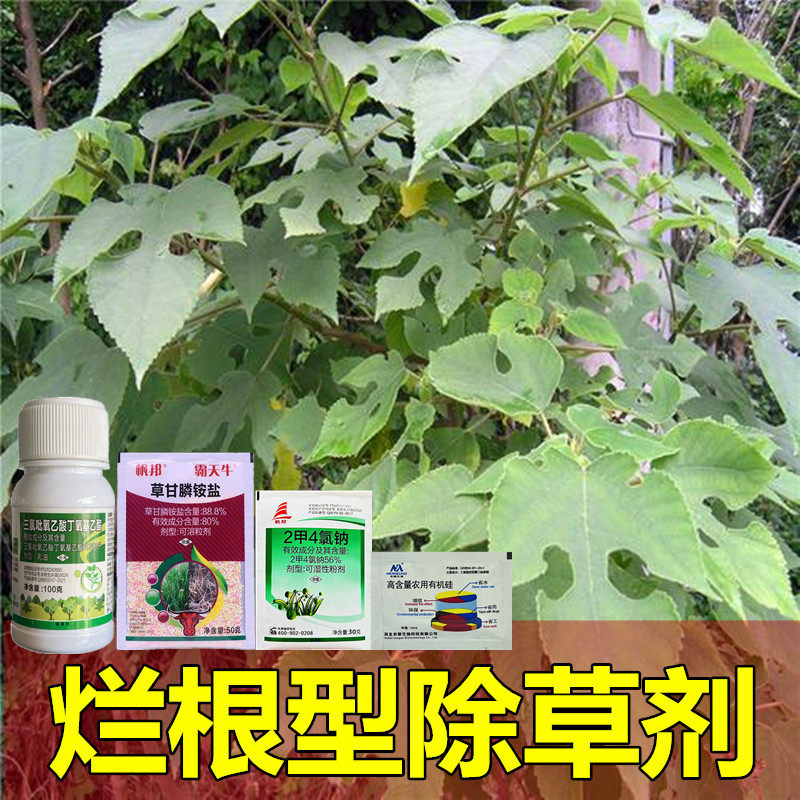 专杀构除构烂根药除构烂根剂深层除草剂