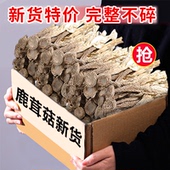 足斤鹿茸菇干货净重袋装 无碎古田食用农产品煲汤菌菇食用