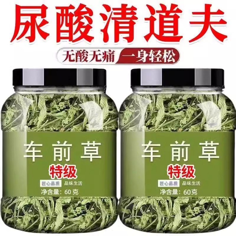 野生车前草绛高车前草茶新鲜正品尿高利尿泡茶喝官方旗舰店