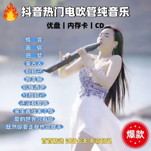 车载电吹管纯音乐u盘情罪抖音热门精选电吹管纯无损音乐优盘TFCD