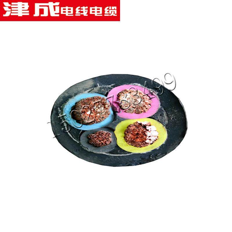 天津津成现货供应橡套橡胶绝缘电缆YZ/YC-3X1.5/2.5/4平方软电缆