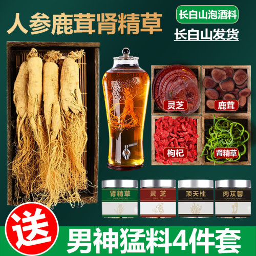 泡酒料长白山特产肾精草干人参