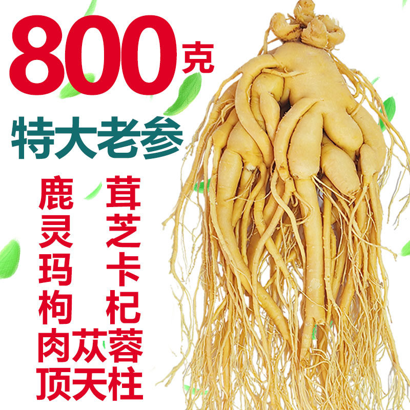 长白山正宗人参煲汤泡酒专用鲜人参东北特产滋补养生粮食酒保鲜参