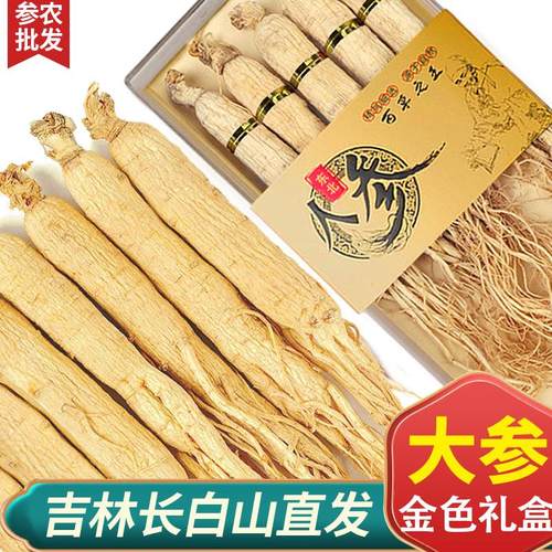 人参白参生晒参煲汤泡酒滋补养生