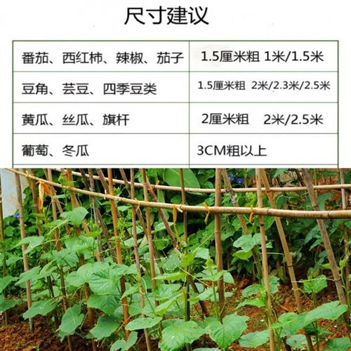 竹竿菜园搭架蔬菜豆角黄瓜番茄爬藤架园庭院家用架子小竹子细竹杆