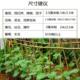 竹竿菜园搭架蔬菜豆角黄瓜番茄爬藤架园庭院家用架子小竹子细竹杆