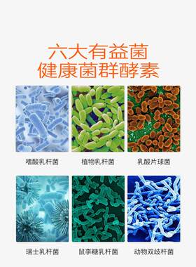 维萃美 酵蔬果轻畅素原液台湾宿原产植排便S身材TRA进口酵素500物