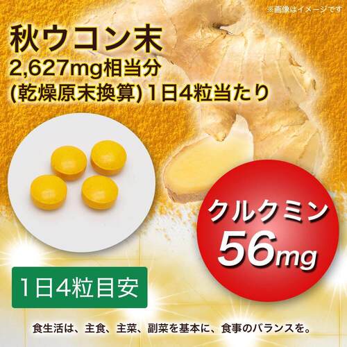 75日代购新日ROB本汉方高浓装度姜片30黄0粒/袋酒宿醉应酬解决量
