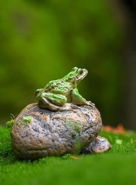 树脂仿真青蛙趴石头摆件园艺假山花卉盆景微景观造景动物装饰摆设