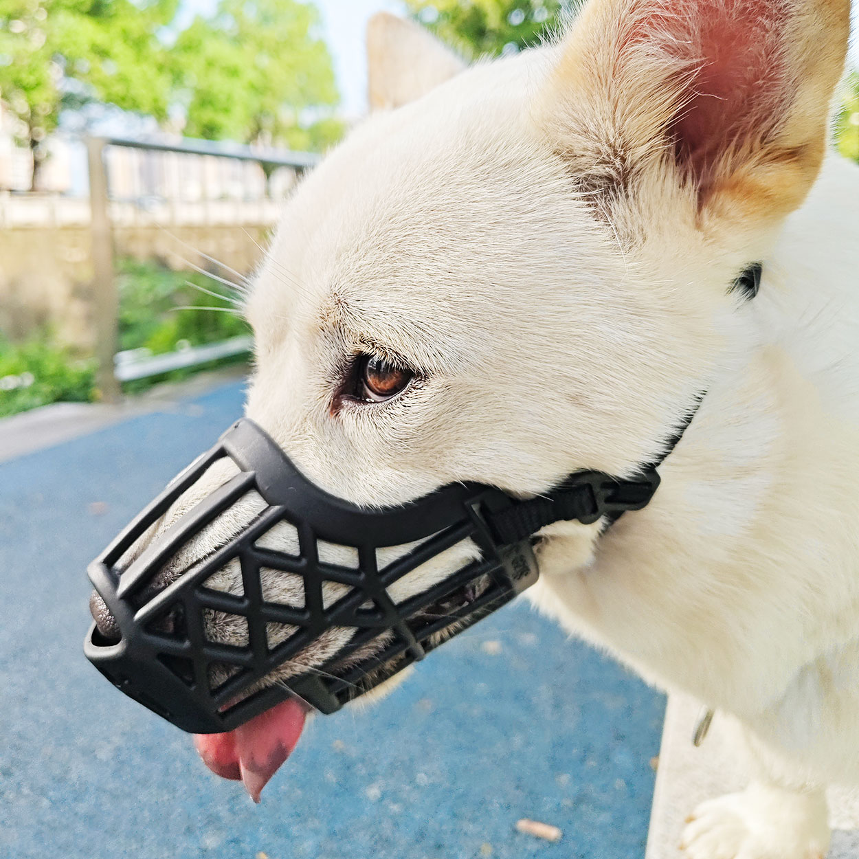 狗狗防咬叫乱吃嘴罩防舔防叫