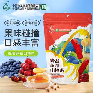 办公室麻小FGJ零 中蜜解零小食蜂蜜蓝莓山楂条小花网红食品休闲馋