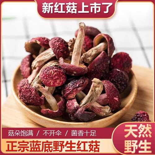 新货福建野干生小红菇正宗蓝底红蘑菇非红菇货子WKQ菇煲汤月500g