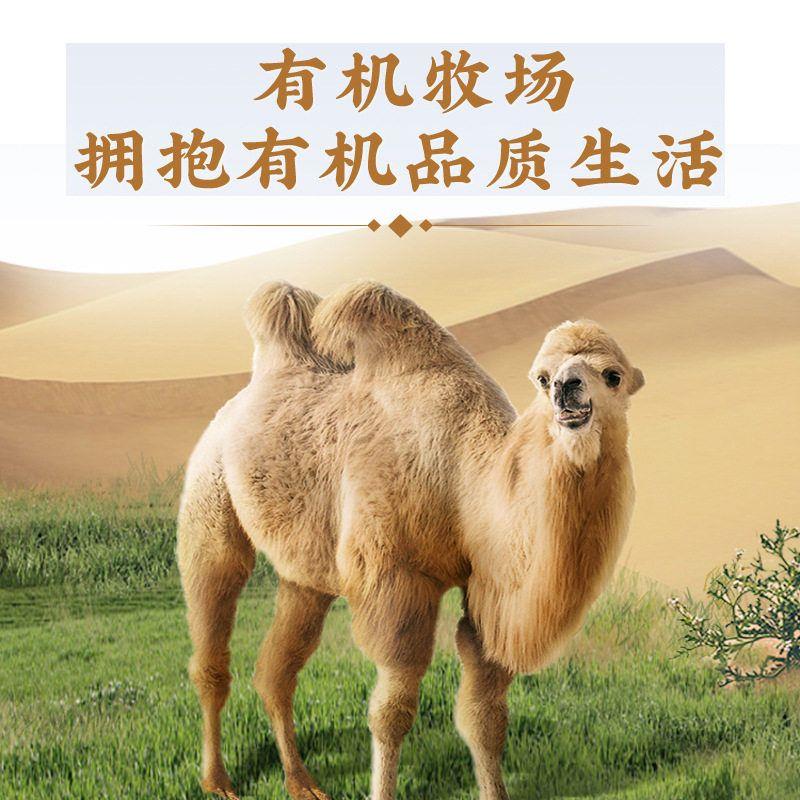 三营诚集团生YNA菌高钙驼乳蛋白粉骆驼益奶粉养驼奶粉厂1家直发00