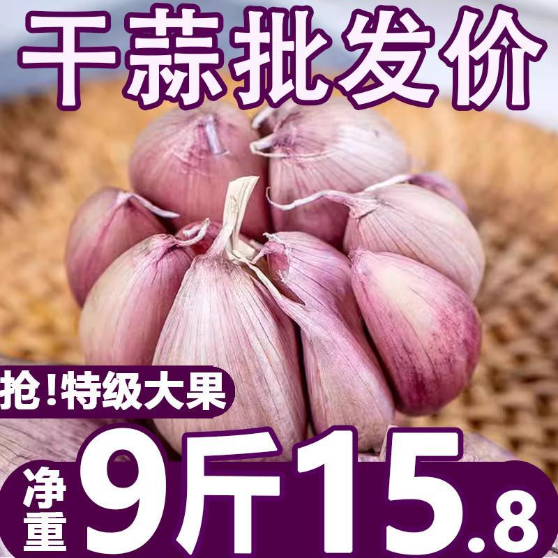 山东金乡大蒜头干蒜5斤2023当季紫皮新干蒜蒜头新鲜整箱9斤