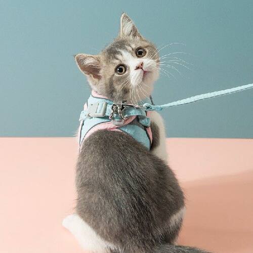 新品Reflective Simpole Pet Vest Harness Leash Chest Strap fo