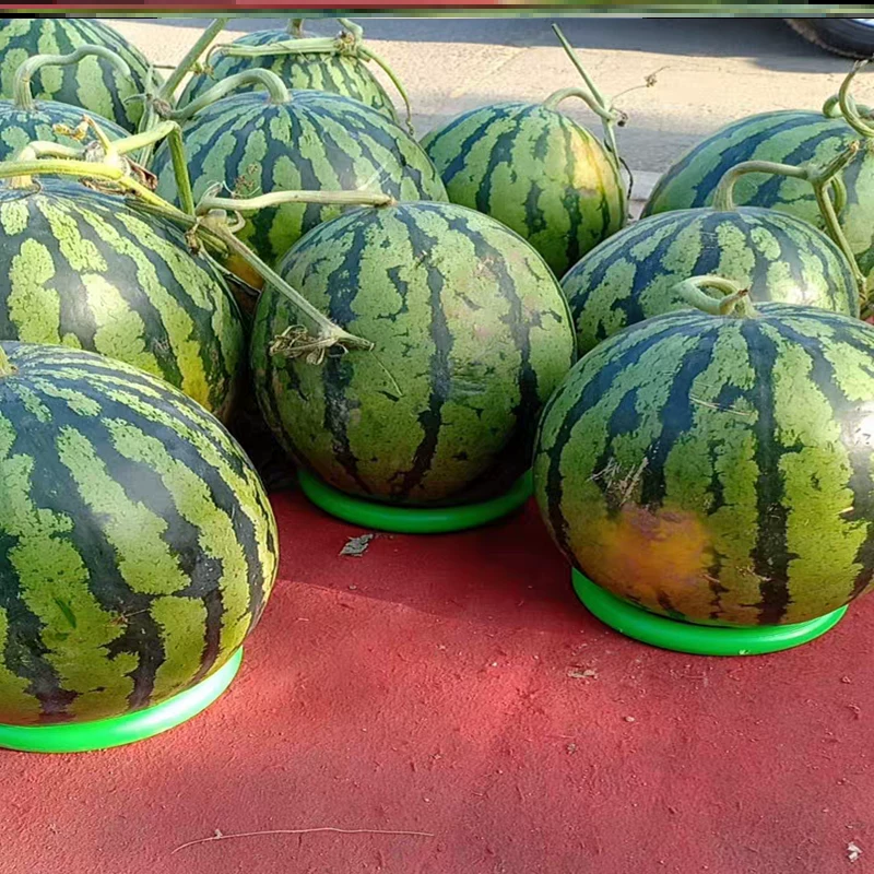 Durian fruit store display positioning simple melon and fruit basketball pile head fixed pad single R watermelon frame shelf togua