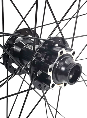 极速法斯c特DH820自编山地自行车太阳圈TR29轮组单前轮