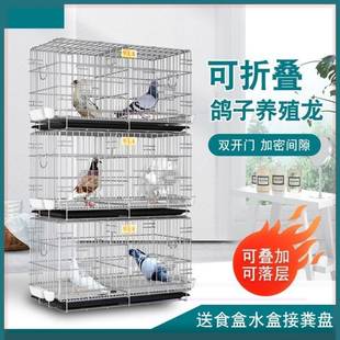 极速养鸽子专用笼鸟笼新款鸽子笼配对F笼养殖笼子鸽笼家用摺叠大