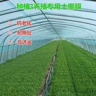 极速新品按米黑白膜无滴大棚降温反光膜9B遮阳加J厚WP食用d菌养殖