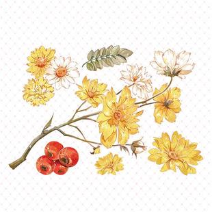 极速双十二e新品手帐胶带造景黄花寐水晶浮雕烫镭射金和纸手账素