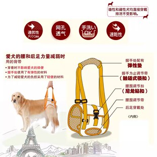 petio高龄犬介护用宠物牵引绳后腿残疾受伤老龄狗狗辅助带背带