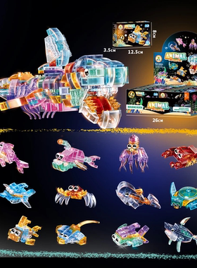 暑假好物拼装简单透明海洋动物积木拼装3-14岁儿童益智玩具礼物JW