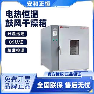 电热恒温鼓风干燥箱实验室小型工业商用专业实验室烘箱医用加热箱