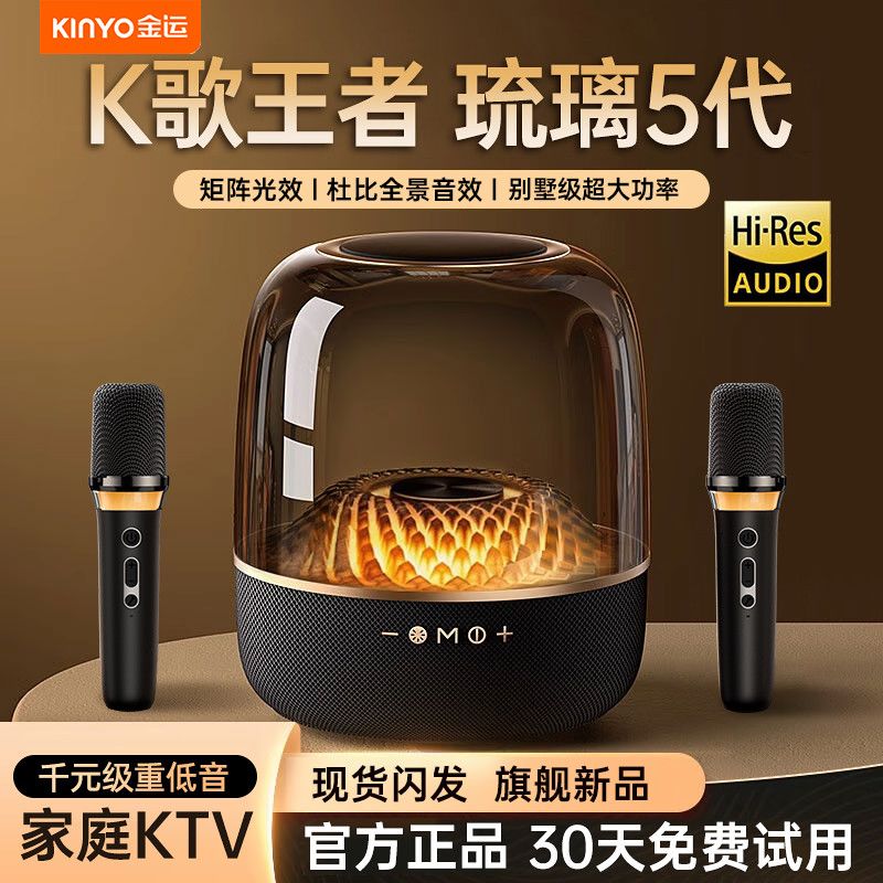 金运 A18金运LP90蓝牙音响麦克风