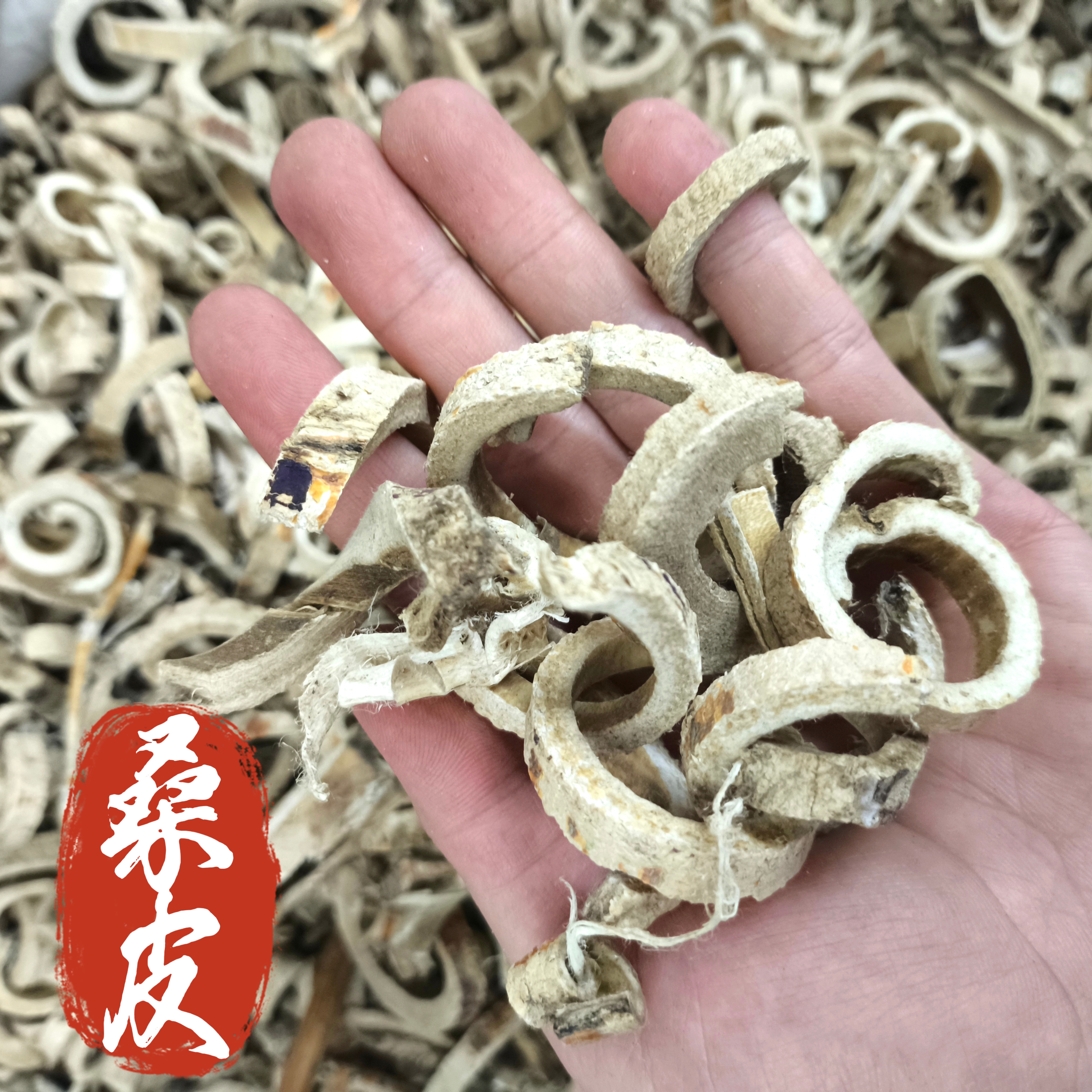 桑皮中药材桑白皮桑根白皮新品