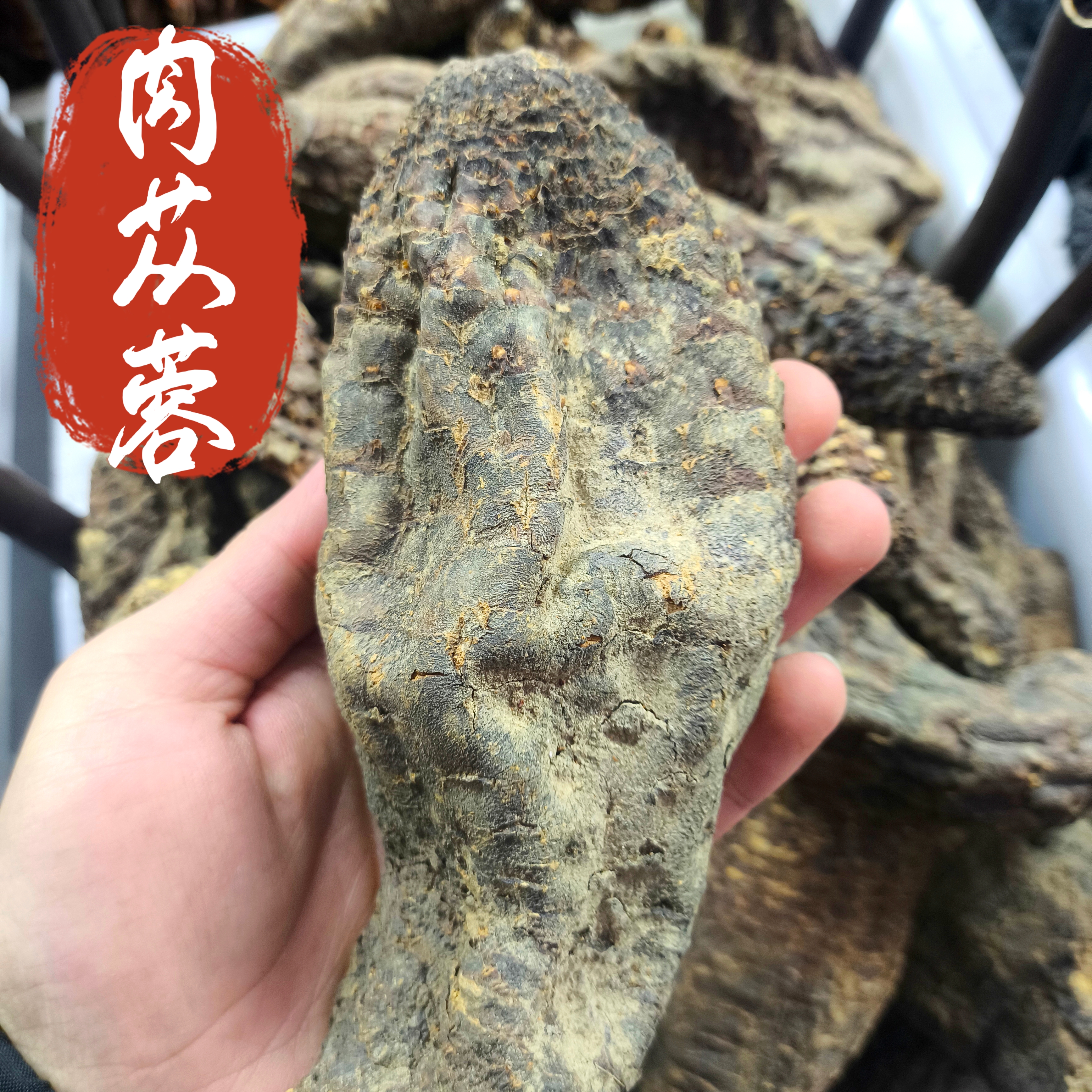 肉苁蓉中药材 硬肉苁蓉 大芸肉大芸片 特级精选大个硬肉苁蓉