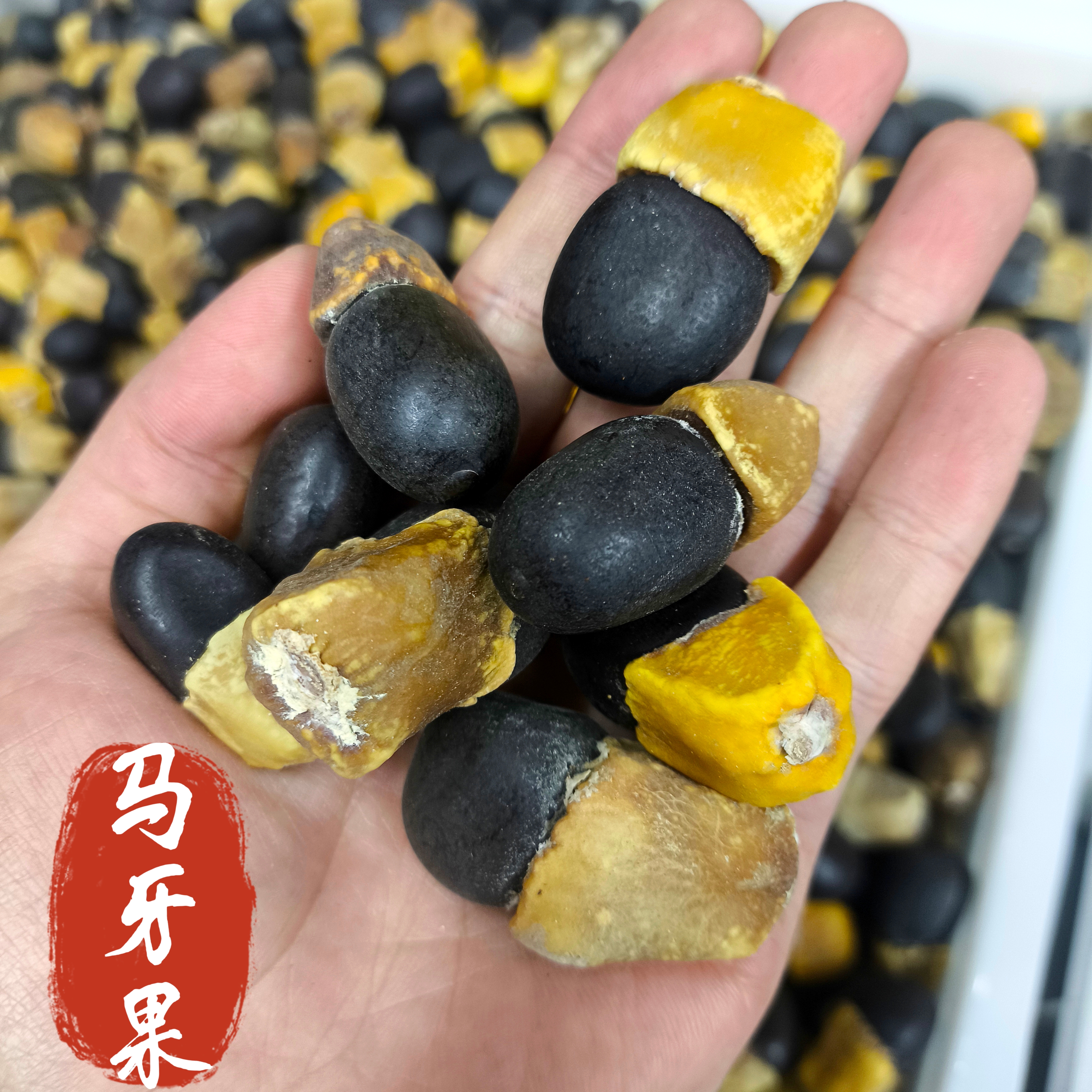 马牙果中药材新货马牙果缅茄子