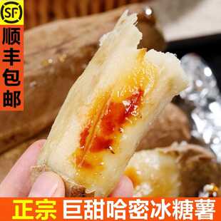 哈密冰糖薯番薯烤地瓜红薯新鲜现挖糖心蜜薯白薯山东农家沙地