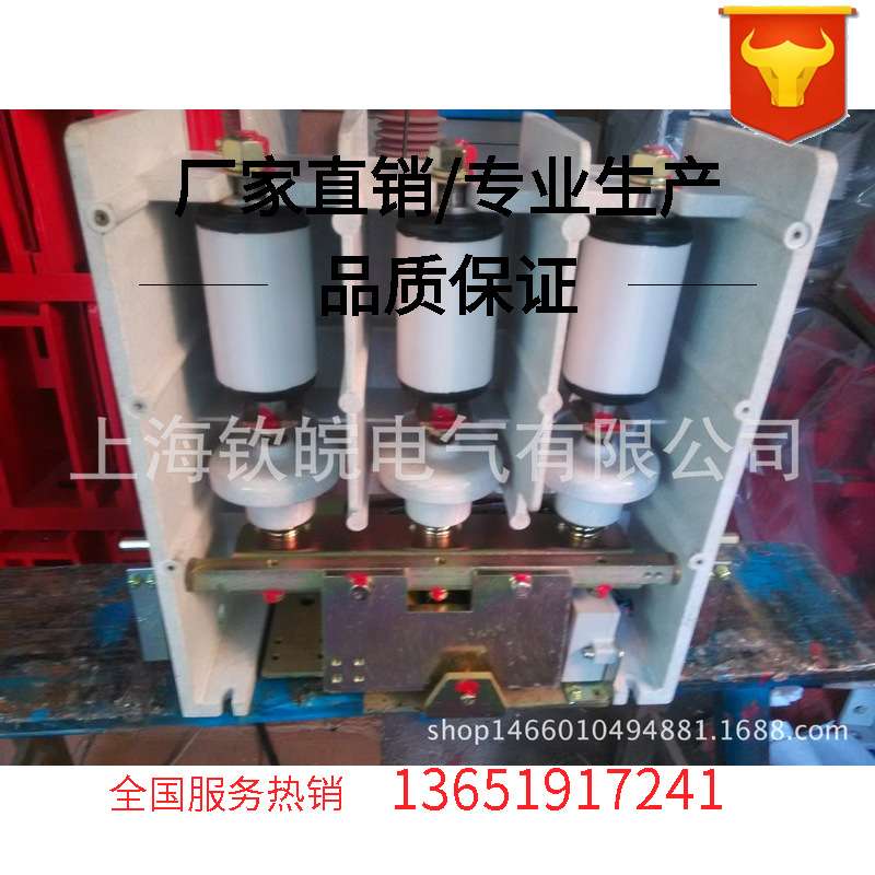交流高压接触器CKG5-10/160-S-33高压真空接触器CKG5-10J/160A
