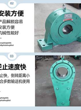 供应逆止器 减速机输送机配件NJ(NYD)型DTIIN1型TD75型逆止器