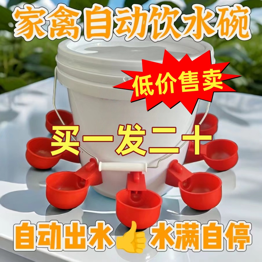 新款家用全自动饮水器养鸡自动