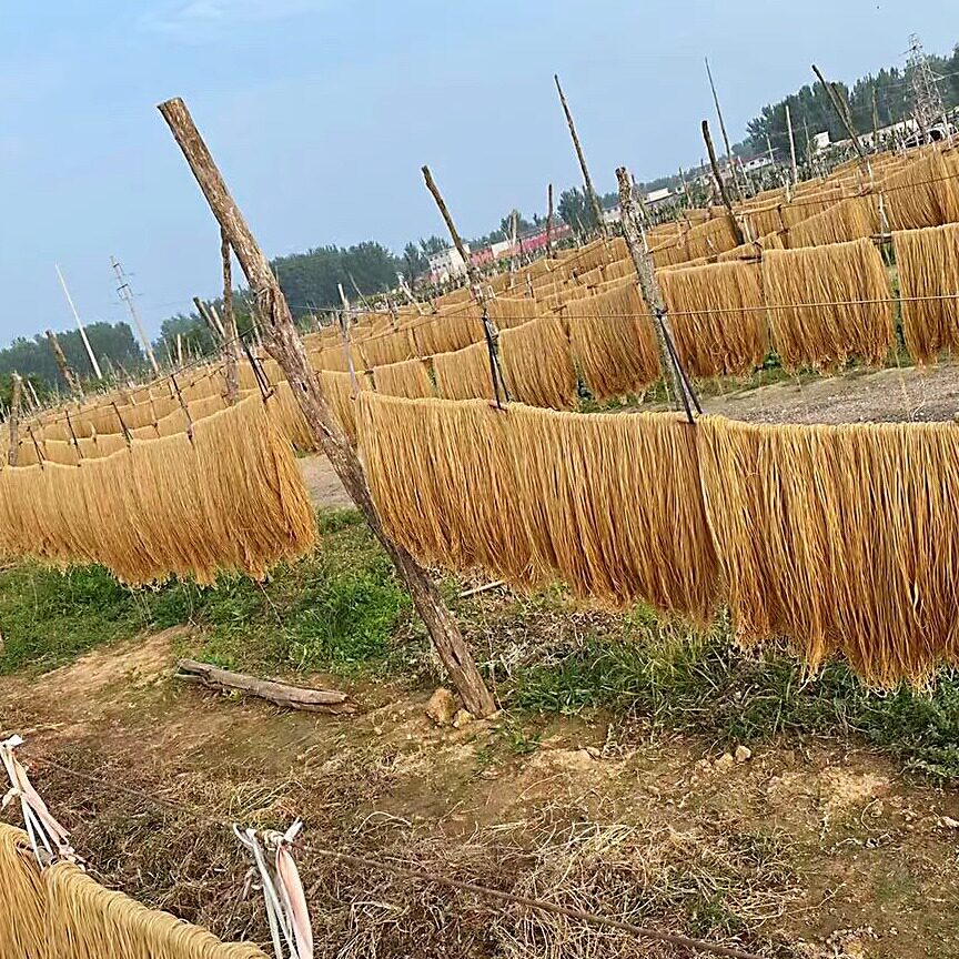 红薯粉条5斤 不含胶 传统工艺 筋道耐煮顺滑,粮油调味/速食/干货/烘焙,干货粉条粉丝/蕨根粉/苕皮,淘宝优惠券,粉丝福利购,淘宝优惠卷