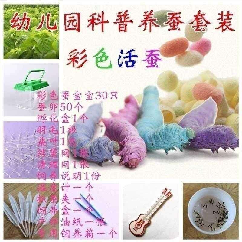 极速蚕宝宝专用饲l养箱养蚕清洁防水保温箱存活加长房子大小移动