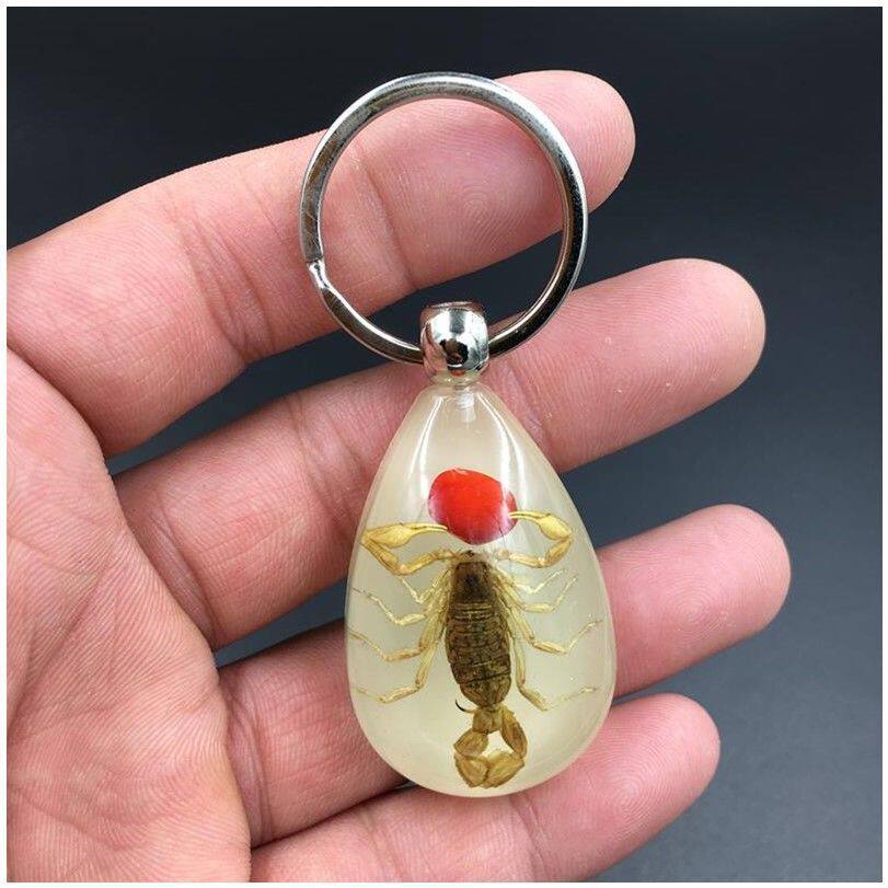 极速昆虫标本人工钥n匙扣夜光汽车琥珀挂件个性创意饰品可爱卡通