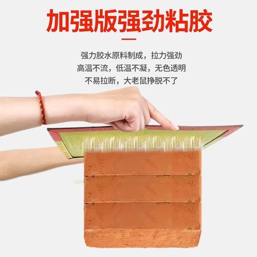 极速老鼠贴强力粘鼠板抓大t老鼠黑底隐蔽沾灭鼠捕捉神器老鼠一窝