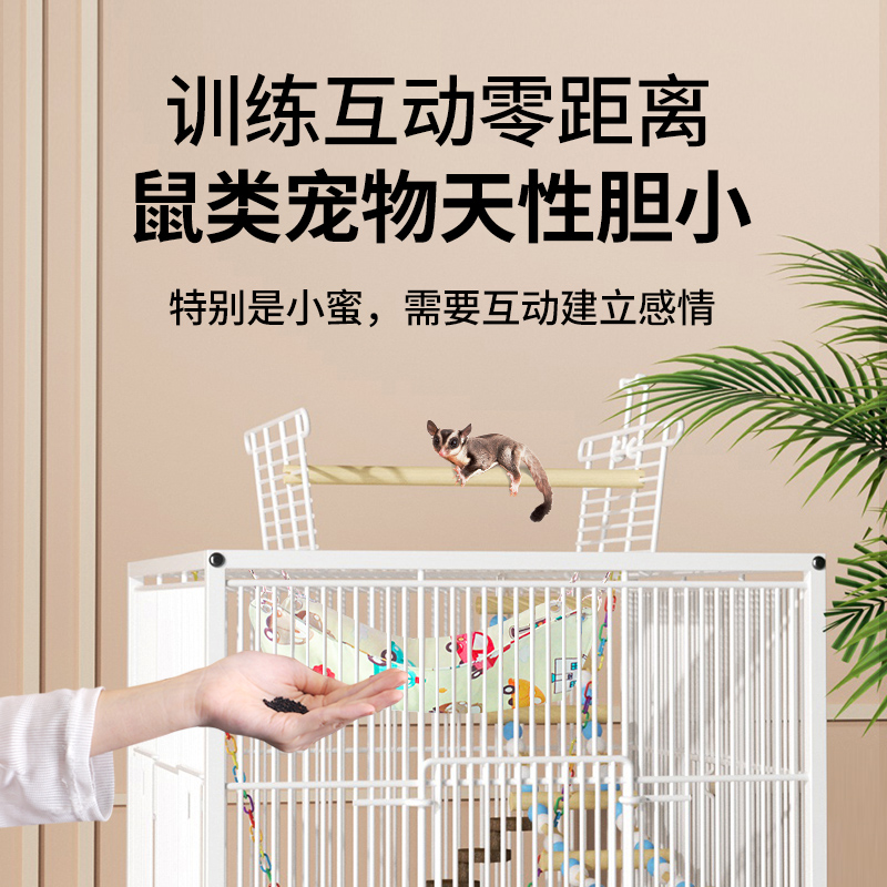 极速蜜袋鼯饲养笼k花枝鼠龙猫飞鼠松鼠笼子饲养箱鹦鹉加高笼别墅